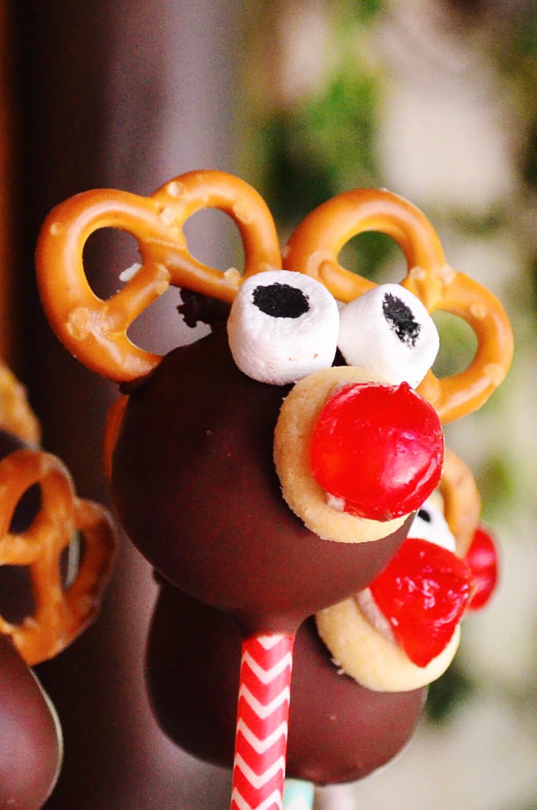 Christmas, reindeer cake pops