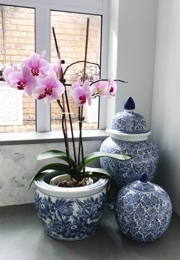 Ginger jar, orchid, blue and white decor