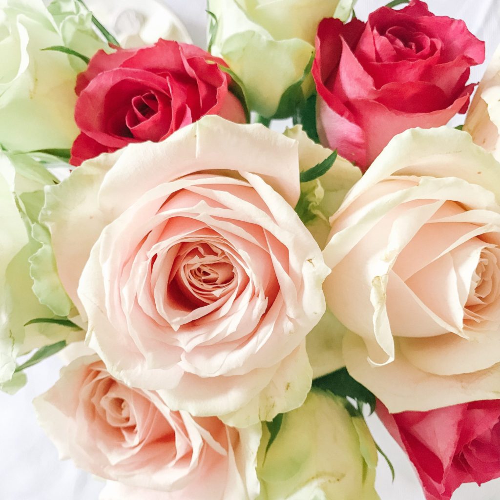 Beautiful pink, cream and red roses for a pretty in pink Valentine's Day tea party