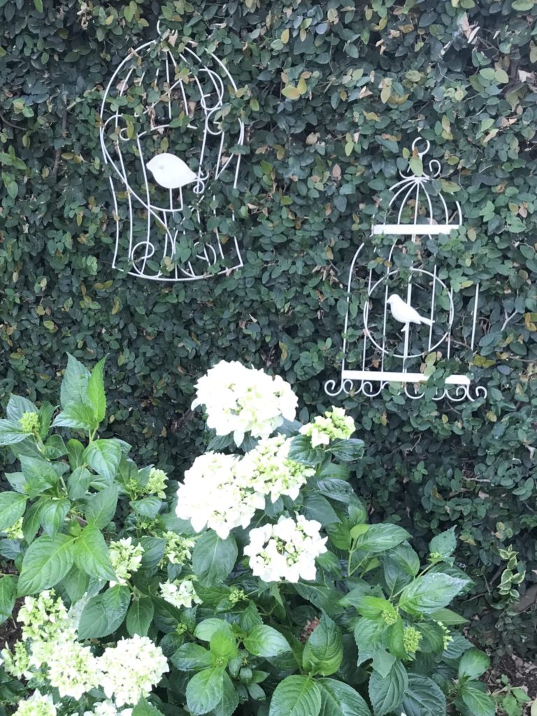 White hydrangea with bird cage wall decoration
