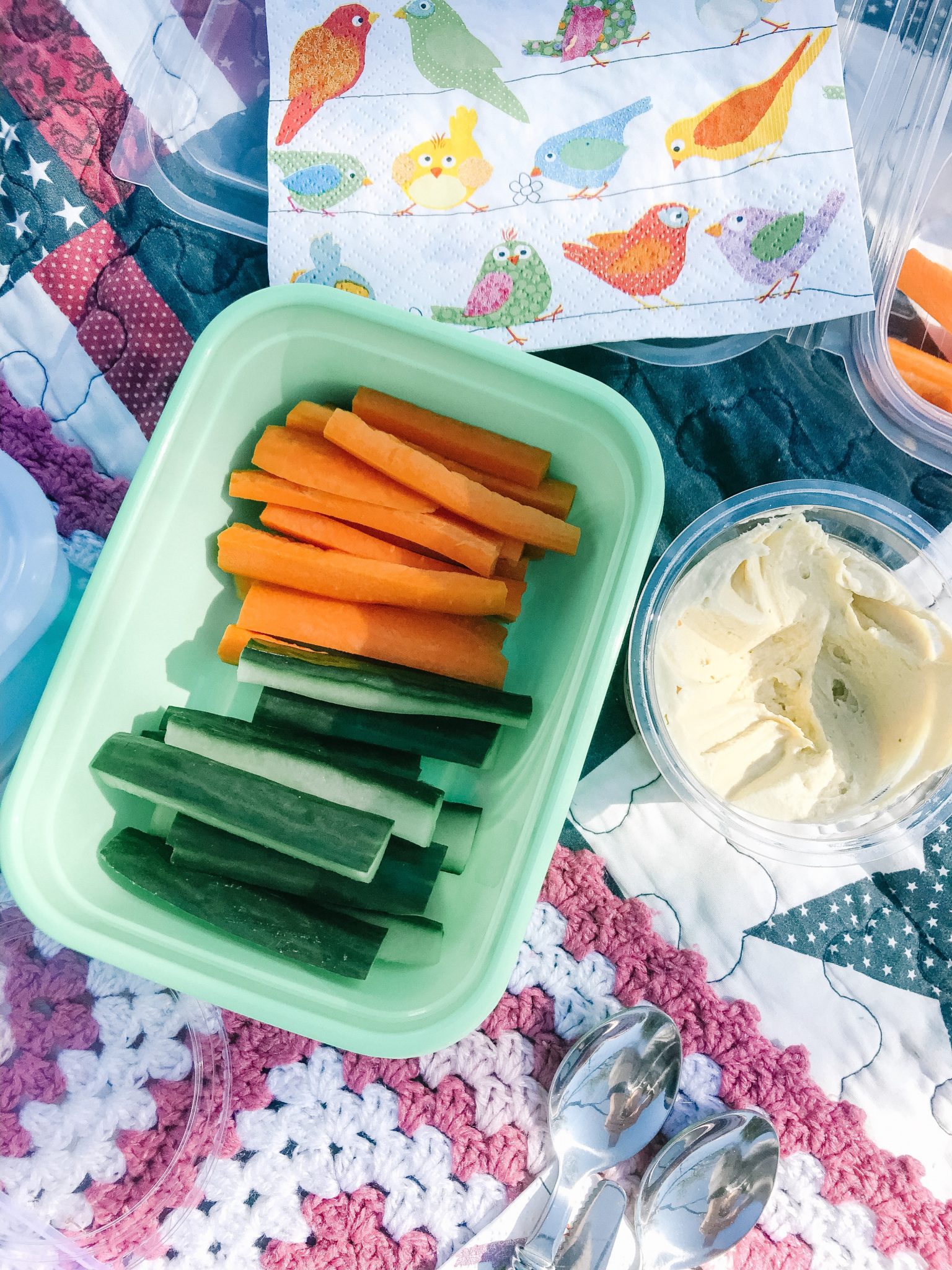 carrot and cucumber strips with hummus dip for your picnic