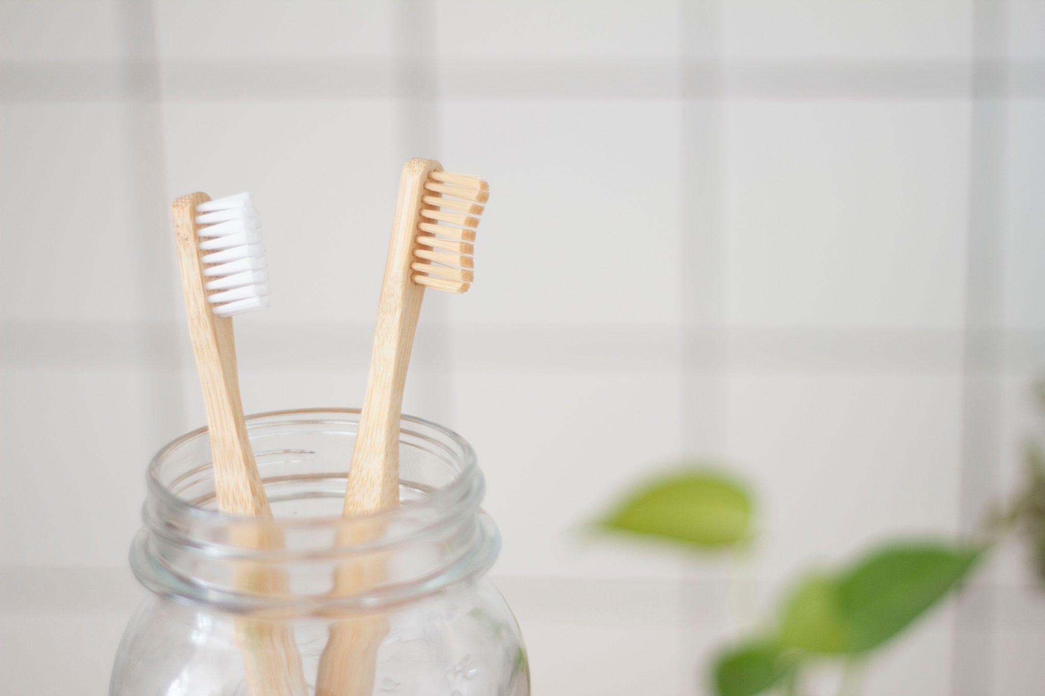 Bamboo toothbrush for eco-friendly, sustainable living
